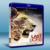 最後的獅子The Last Lions