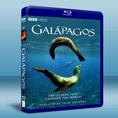 BBC 加拉帕戈斯群島 /進化島 Galapagos