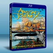 MAX 驚異之旅 /奇異的旅程 Amazing Journeys