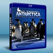 IMAX 南極企鵝 /南極洲 Antarctica