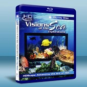 大海的風景：探索 Visions Of The Sea: Explorations
