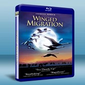 鵬程千萬里/鳥與夢飛行/ 遷徙的鳥 Winged Migration 