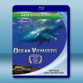 動物星球系列：鯨奇之旅/尚米榭庫斯托海洋探險:庫雷島之旅 Ocean Voyagers