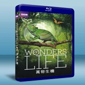 BBC 萬物生機 /生命奇蹟 Wonders Of Life  雙碟版-（藍光影片25G） 