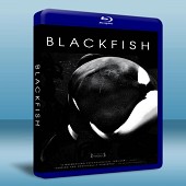 黑鯨 Blackfish  -（藍光影片25G）