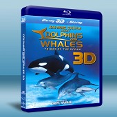 部落海洋 3D海豚與鯨魚Dolphins and Wha...