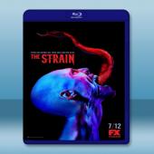 血族 The Strain 第1季 (3碟) 藍光25G