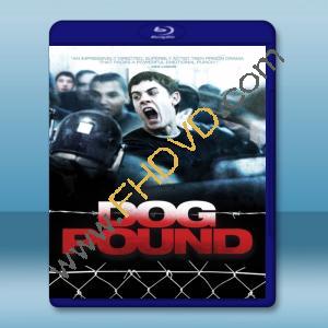  惡狗幫 Dog Pound [2010] 藍光影片25G