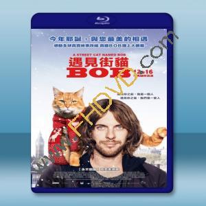  遇見街貓BOB A Street Cat Named Bob (2016) 藍光25G