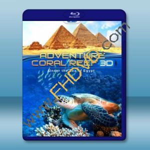  (3D+2D) 埃及海底珊瑚礁 探險之旅 Adventure Coral Reef Under The Sea Of Egypt 藍光影片25G
