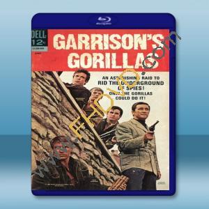  加里森敢死隊 Garrison's Gorillas (1967) 藍光25G