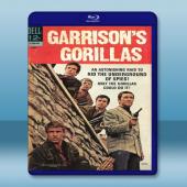 加里森敢死隊 Garrison's Gorillas (...