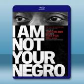  我不是你的黑鬼 I Am Not Your Negro (2016) 藍光25G