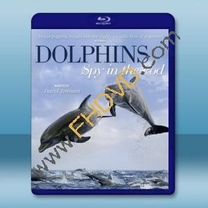  臥底海豚幫 Dolphins - Spy in the Pod (2014) 藍光影片25G