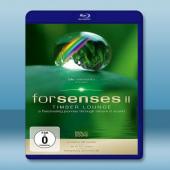 Forsenses II [2011] 藍光25G