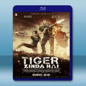 老虎是活的 Tiger Zinda Hai (2017)...