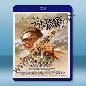 戰爭走狗 The Dogs Of War (1980) 藍光25G