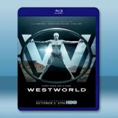 西方極樂園 Westworld 第1季 【3碟】 藍光2...