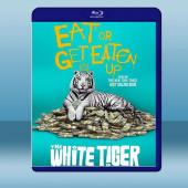 白虎 The White Tiger (2021) 藍光...