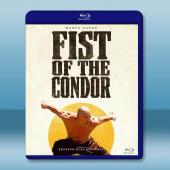 禿鷹之拳 The Fist of the Condor(...