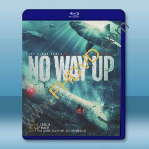深淵鲨難 No Way Up (2024)藍光25G