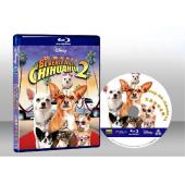 比佛利拜金狗2  Beverly Hills Chihuahua 2