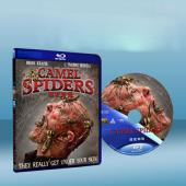 駱駝蜘蛛/ 食人巨蛛Camel Spiders