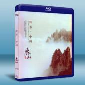 傳承·中國 世界遺產3D紀錄片系列《泰山》
