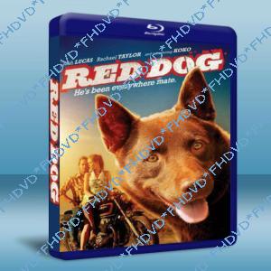 紅犬歷險記/紅狗 / 紅犬 Red Dog  