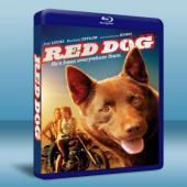 紅犬歷險記/紅狗 / 紅犬 Red Dog