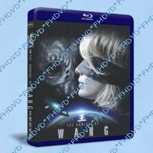 The Arrival of Wang 王先生光臨