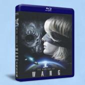 The Arrival of Wang 王先生光臨