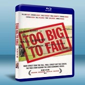  大到不能倒：金融海嘯真相 Too Big to Fail