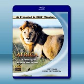 IMAX非洲:塞倫蓋蒂國家公園 Africa: The Serengeti