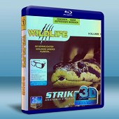 野性生活 Wildlife - Striker 3D