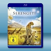 坦尚尼亞 塞倫蓋提國家公園 Serengeti 3D