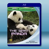 熊貓傳奇Giant Pandas