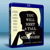 命中注定，遇見愛/遭遇陌生人 You Will Meet a Tall Dark Stranger 