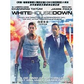 驚天危機 /白宮末日/ 白宮墜落 White House Down-（藍光影片25G） 