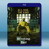 Breaking Bad 製毒師/絕命毒王 第5季  (...