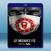 十二猴子 12 Monkeys  第1季 (三碟)-（藍光影片25G）