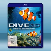 潛水3D:紅海 Dive Leben im Schiffswrack -（藍光影片25G）