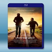 希望生長的地方 /茁壯新希望 / 希望補給站 Where Hope Grows (2015) -（藍光影片25G）