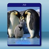 帝企鵝寶寶的生命輪回之旅 Snow Chick - A Penguin's Tale (2015) -（藍光影片25G）