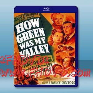 青山翠谷 /翡翠谷 How Green Was My Valley (1941) -（藍光影片25G）