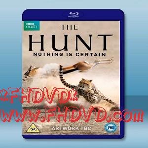 獵捕 The Hunt (3碟)  -（藍光影片25G）