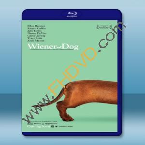  臘腸狗 Wiener-Dog [2016] 藍光25G