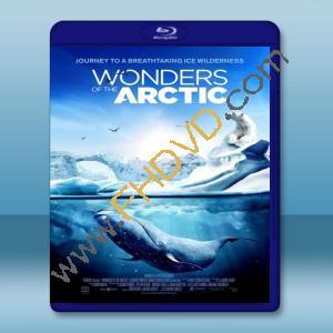  北極奇觀/奇幻冰極 Wonders of the Arctic (2014) 藍光影片25G
