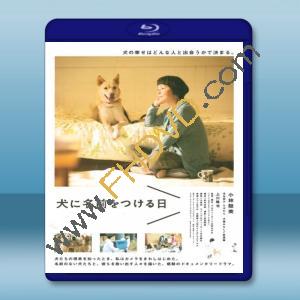  為你取名的那一天 犬に名前をつける日 [2015] 藍光25G