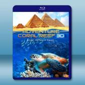 (3D+2D) 埃及海底珊瑚礁 探險之旅 Adventu...
